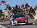 Loeb - Sharkie