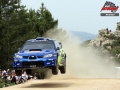 Solberg P - Sharkie