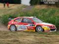 Sordo - Sharkie