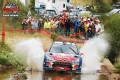 Loeb - David Je��bek