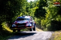 Suninen