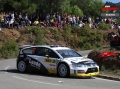 Solberg P - Sharkie