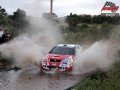 Ogier - Sharkie
