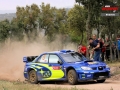 Solberg P - Sharkie