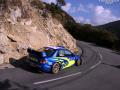 Solberg P - Sharkie