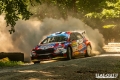Suninen