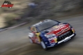 Loeb - -media-