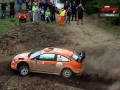 Solberg H - Sharkie