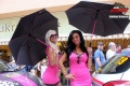 Pink Ladies - Dalibor Benych