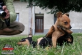 zz_atmosfera - Roman Ka�p�rek