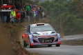 Sordo - Daniel Fessl