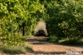 FOMA00169 BRC 2025 Sezoensrally (SK)