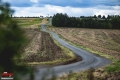 Pikryl