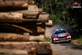 Suninen