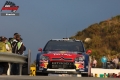 Loeb - Sharkie