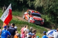 Molle - Sven Kollus