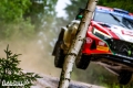 Paddon - Sven Kollus