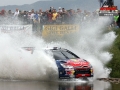 Loeb - Sharkie