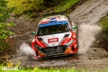Paddon - Sven Kollus