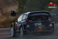 Ogier - Daniel Fessl