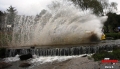 IMG_8842 - Maria R.