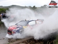 Sordo - Sharkie