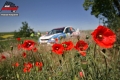 Votava - Roman Ka�p�rek
