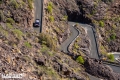 Ogier