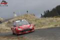 Loeb - Willy Weyens