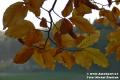 Waldviertel - Michal �im��ek