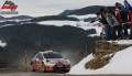 Prokop - Roman Ka�p�rek