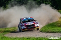 Suninen