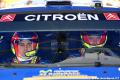 Loeb - -media-