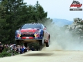 Loeb - Sharkie