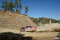 Al-Attiyah - Sven Kollus