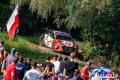 Paddon - Sven Kollus