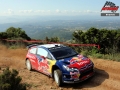 Loeb - Sharkie