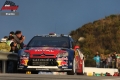 Sordo - Sharkie