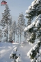 Aava - Petr Fr�ba