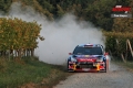 Loeb - Tom Buyse