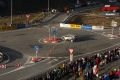 Solberg P - Sharkie