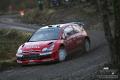 Loeb 2 - Willy Weyens