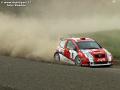 Prokop - Sharkie