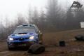 Solberg P - Willy Weyens