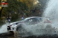 31 Al Attiyah - Josef Petr