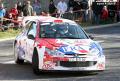 Peugeot 206 WRC - David Pelejero