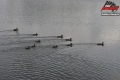 zz_atmosf�ra - Dalibor Benych