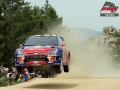 Sordo - Sharkie