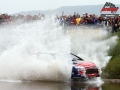Sordo - Sharkie