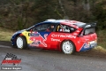 Loeb - Tomasz Bugiel